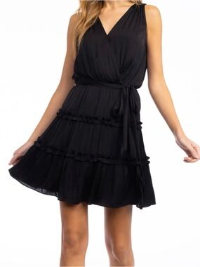 Naked Zebra Black Sleeveless V-Neck Tiered Mini Dress